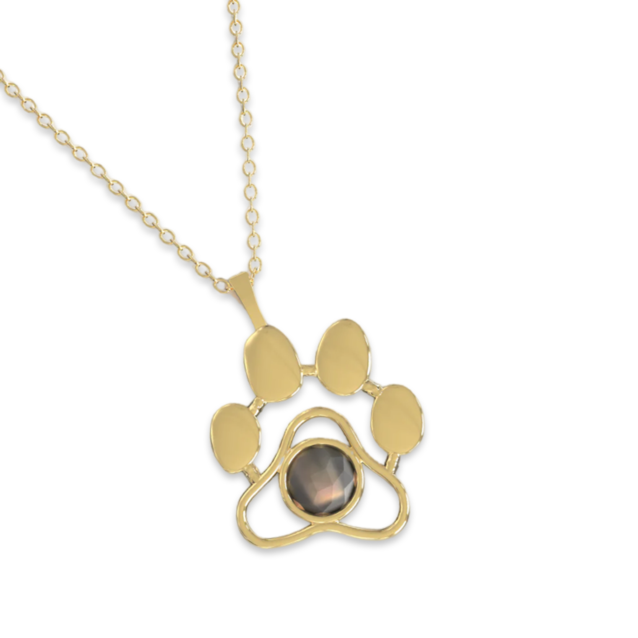 Paw Projection Necklace